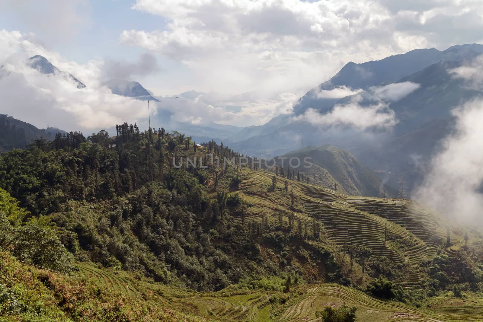 Natural landscape foggy mountains misty hills forest