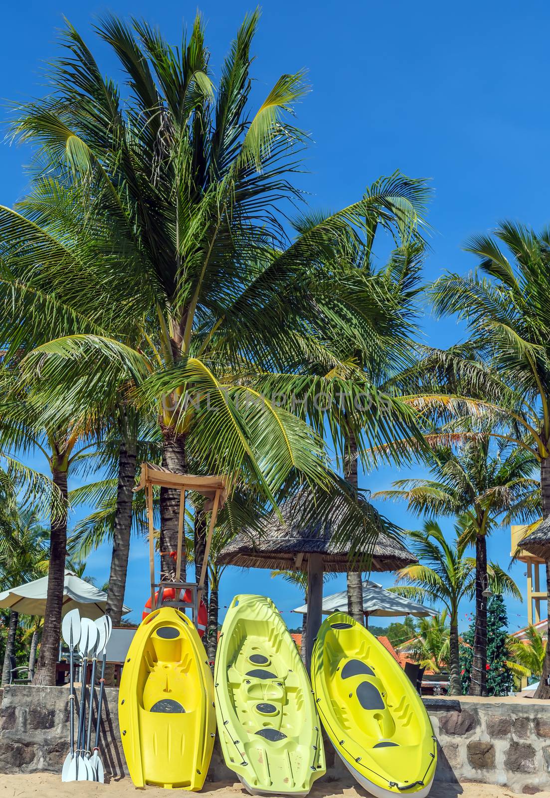 Palm and tropical beach by sea kayak or canoe club.
