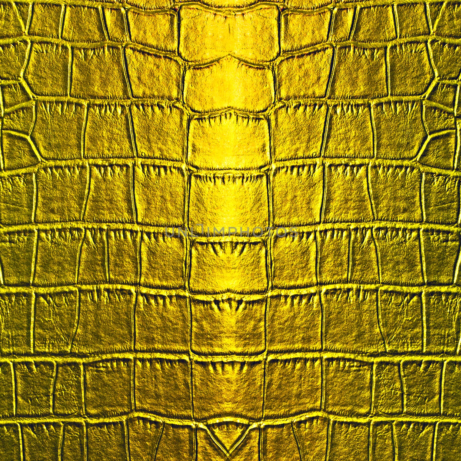 Crocodile Skin golden leather texture surface background