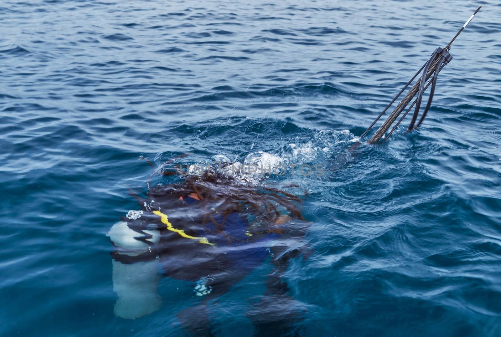 Scuba Diver Swimming in wetsuit neoprene, Spear fisherman with speargun rubbers Underwater blue ocean background in sea