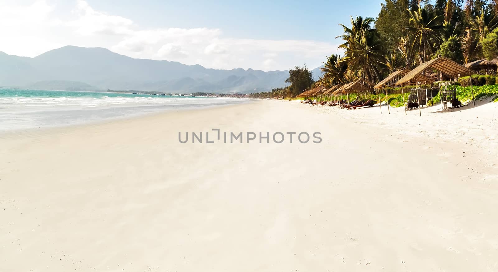 jungle island sea landscape with Palm and tropical beach white sand landscape