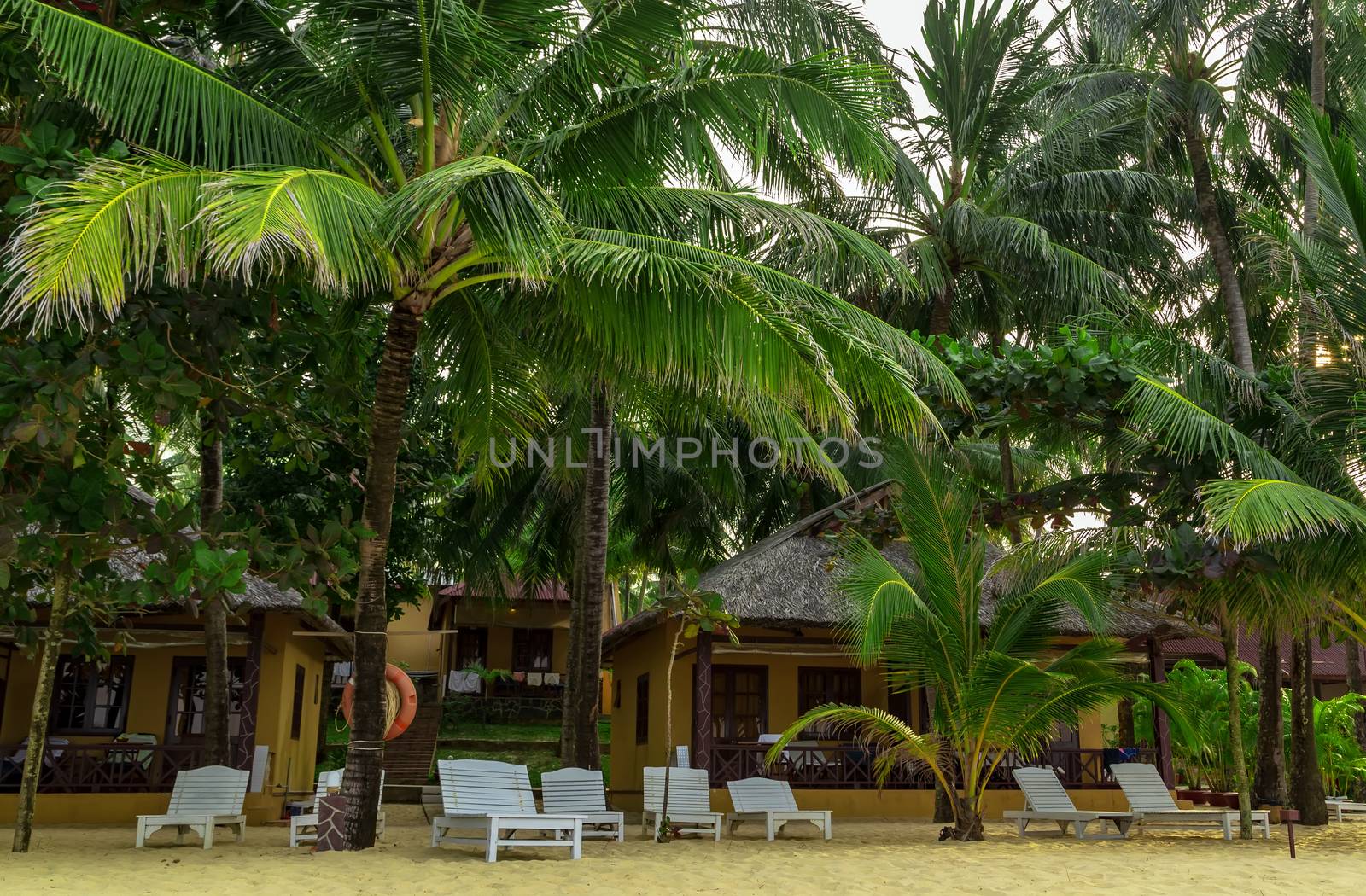 Luxury resort hotel shadow from a coconut tree. Tropical beach sandy shore with beach beds idyllic and romantic sea beach. Concept of travel and relax in paradise. Phu Quoc island in Vietnam.