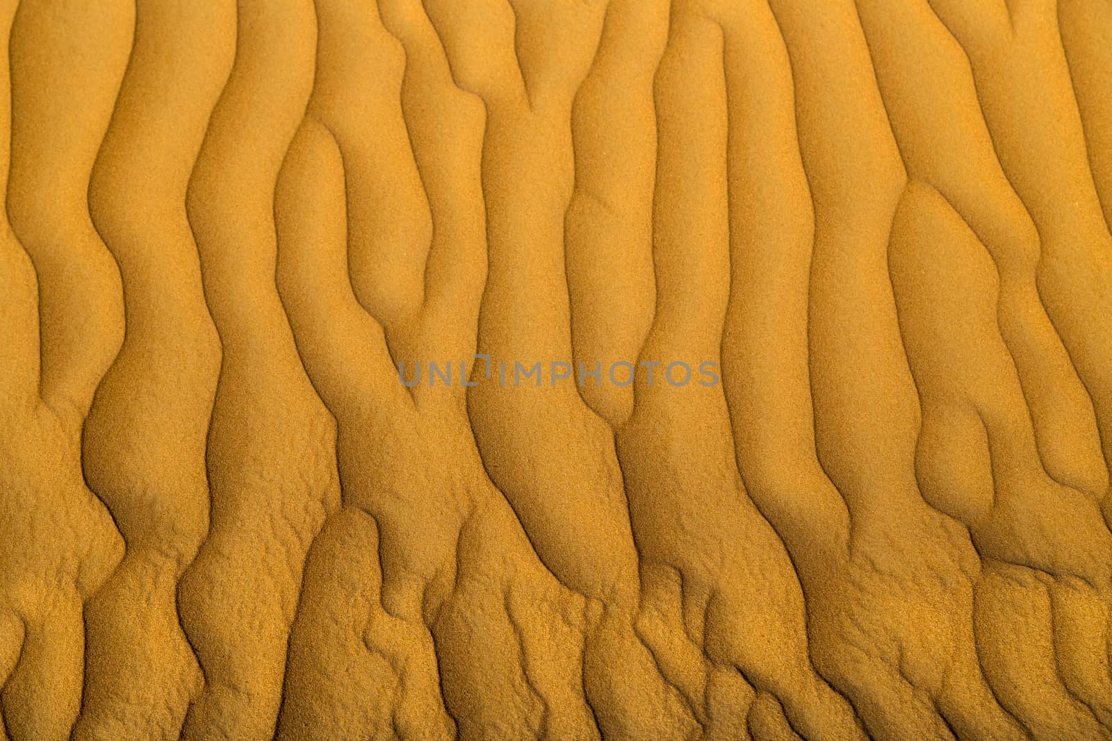 Background sandy Desert Landscape