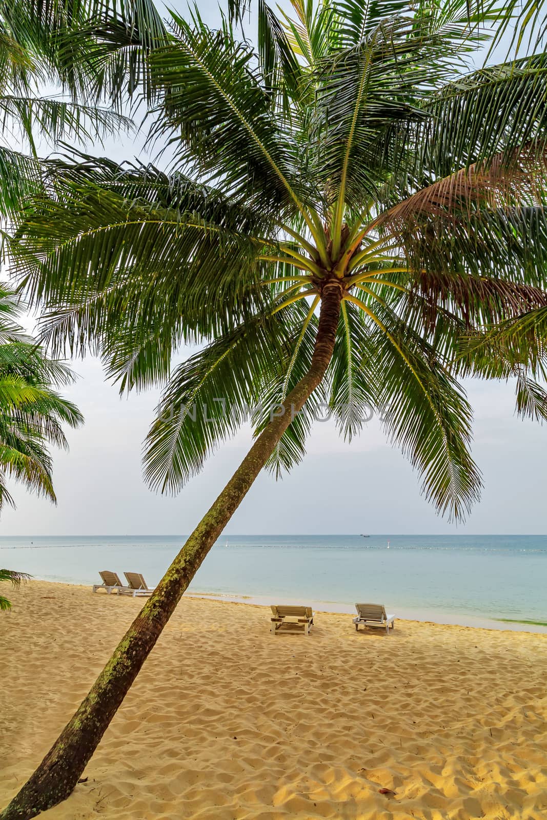 Beach chair and umbrella on sand beach with beautiful seascape view of sea and blue sky in the background. Phu Quoc island in Vietnam. Vacation holidays summer background.