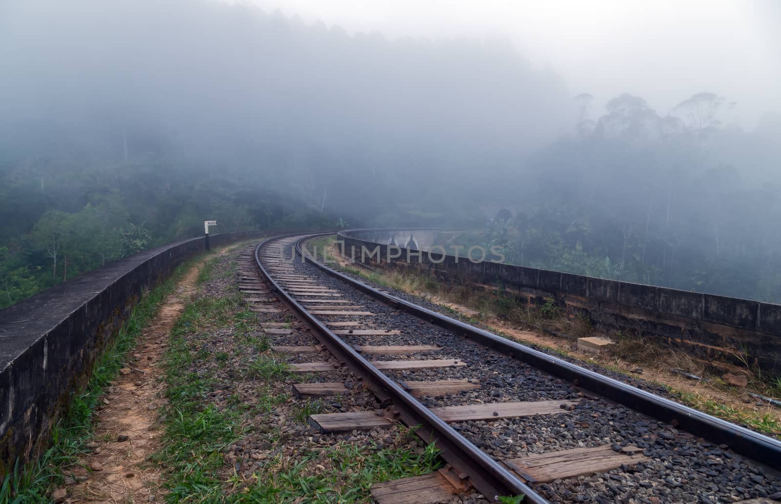 forest in mist, railway viaduct Arches Bridge in Demodara, Ella, Railway landscape Sri Lanka