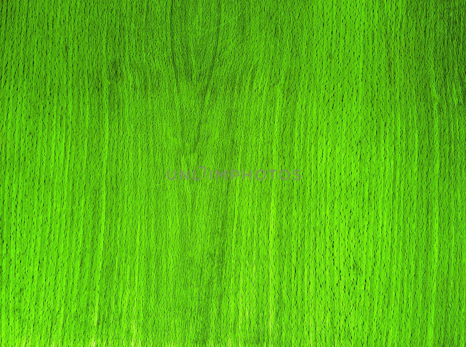 green wall wood texture background woody