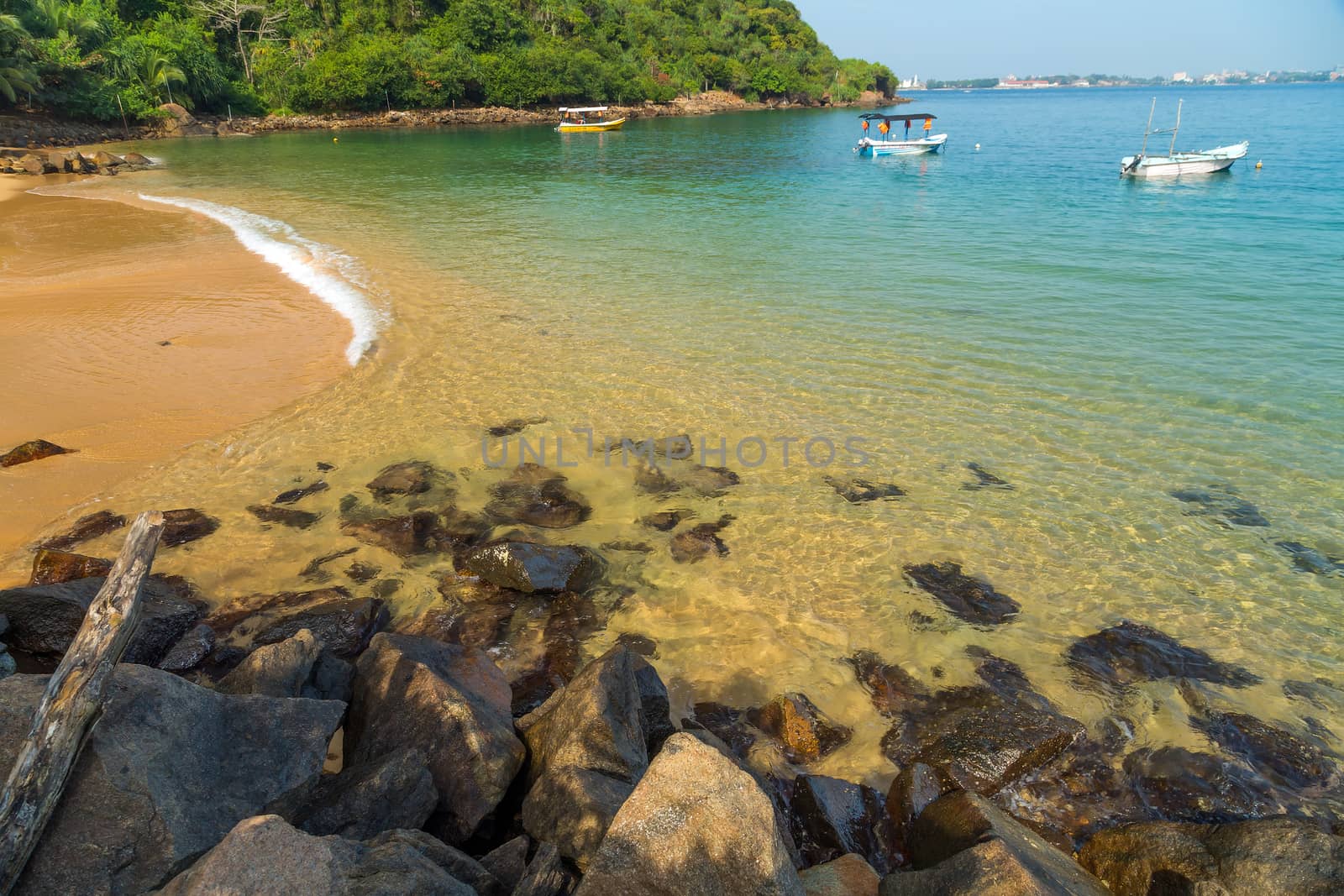sand Jungle Beach on tropical coast indian ocean, Unawatuna, island Sri Lanka