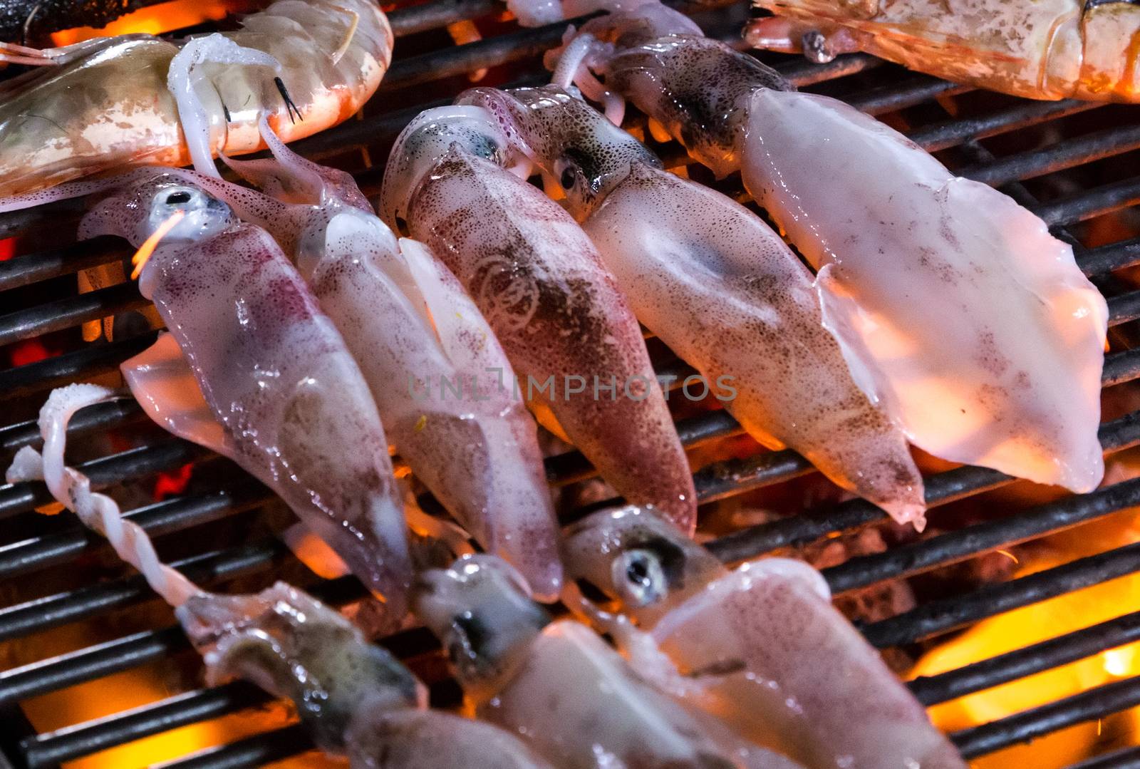 barbecue cooking food grill squid, street food BBQ