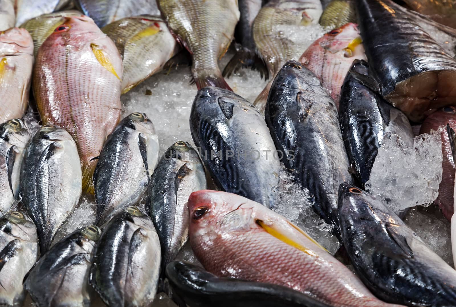 fresh cool fish on ice at street market. Seafood on ice, background Sea food