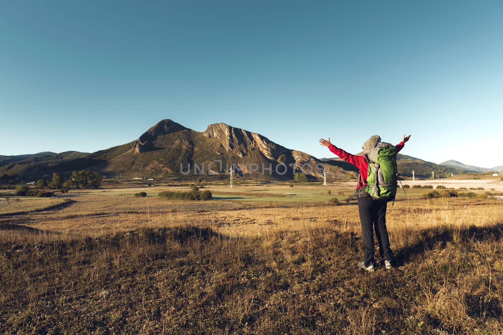 Rear view of a woman with arms raised and a backpack, enjoying the view