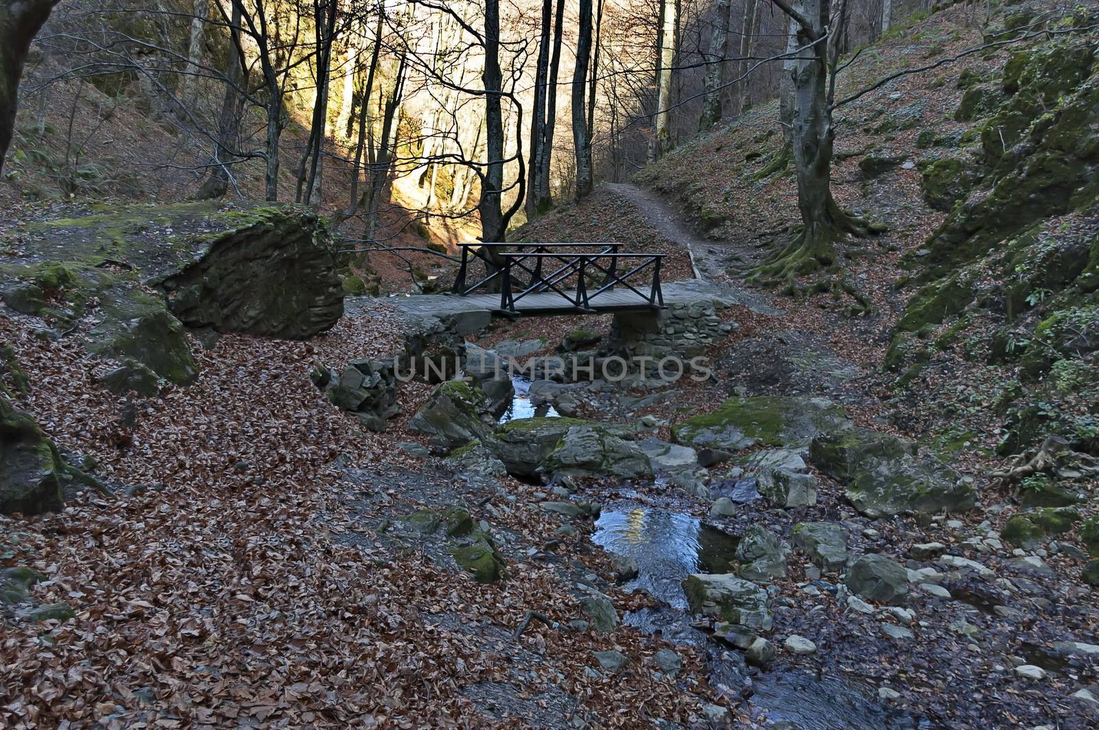 Autumn walk through the labyrinth of the Teteven Balkan with high peaks, river and bridge, Stara Planina, Bulgaria