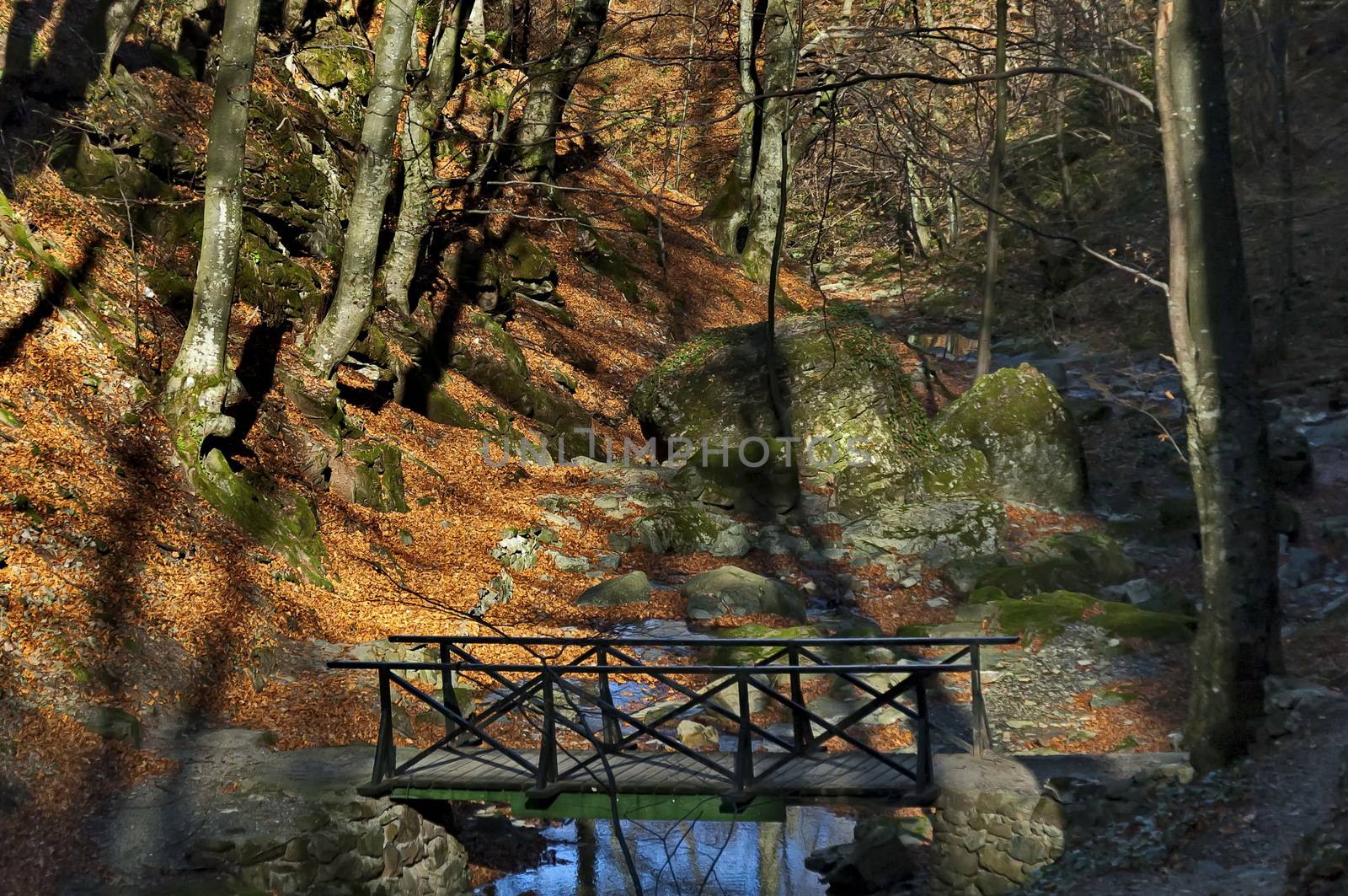 Autumn walk through the labyrinth of the Teteven Balkan with high peaks, river and bridge, Stara Planina, Bulgaria