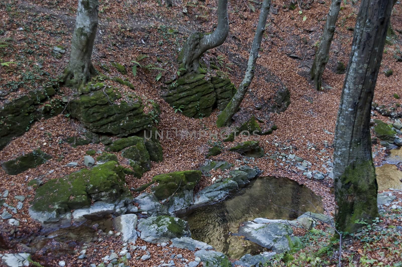 Autumn walk through the labyrinth of the Teteven Balkan with high peaks and river, Stara Planina, Bulgaria