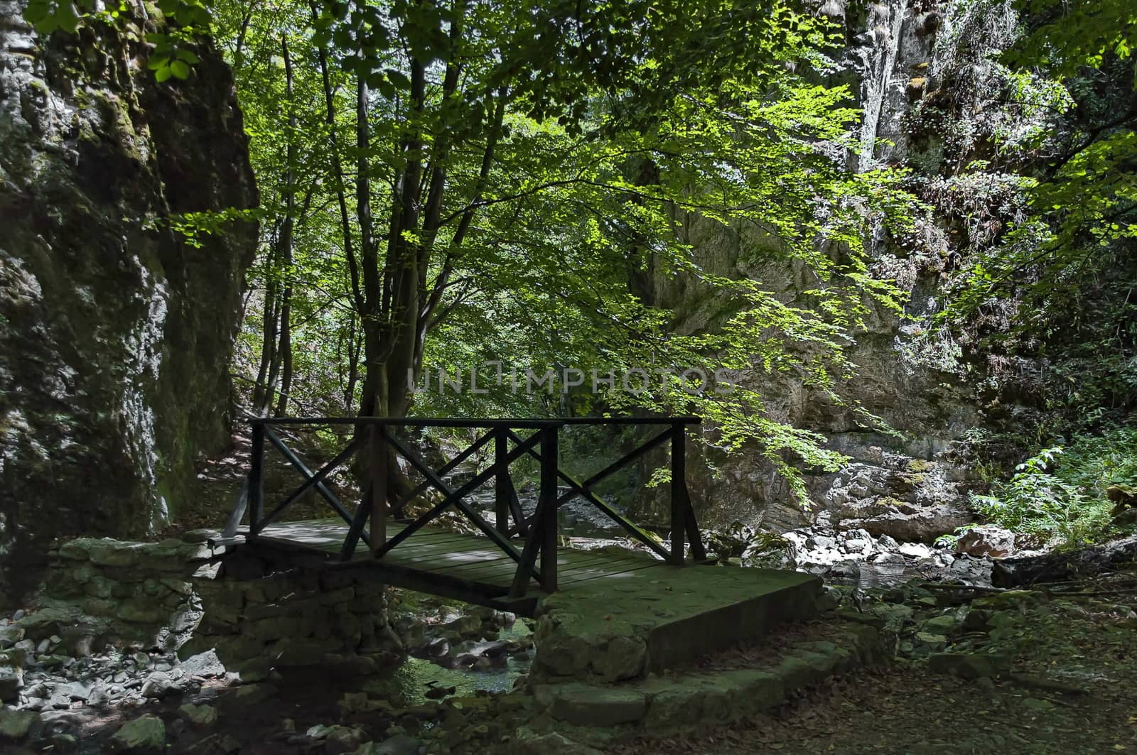 Summer walk through the maze of Teteven Balkan with high peaks, river, bridge and mossy steep cliff, Stara Planina, Bulgaria