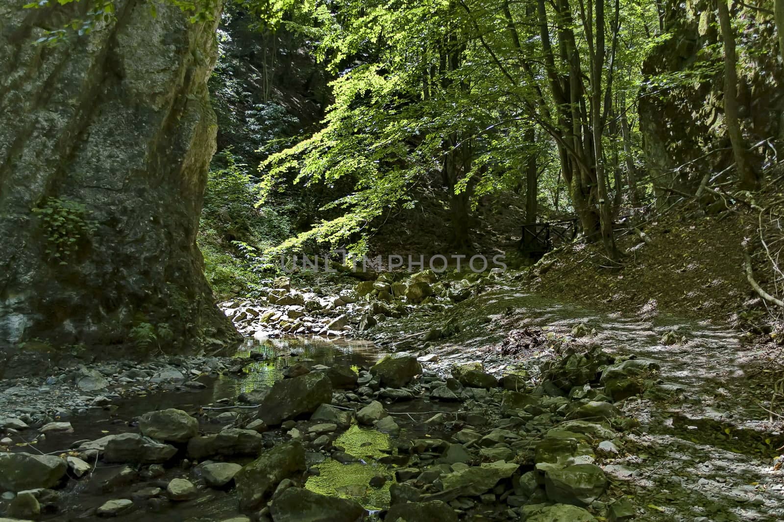 Summer walk through the maze of Teteven Balkan with high peaks, river and mossy steep cliff, Stara Planina, Bulgaria