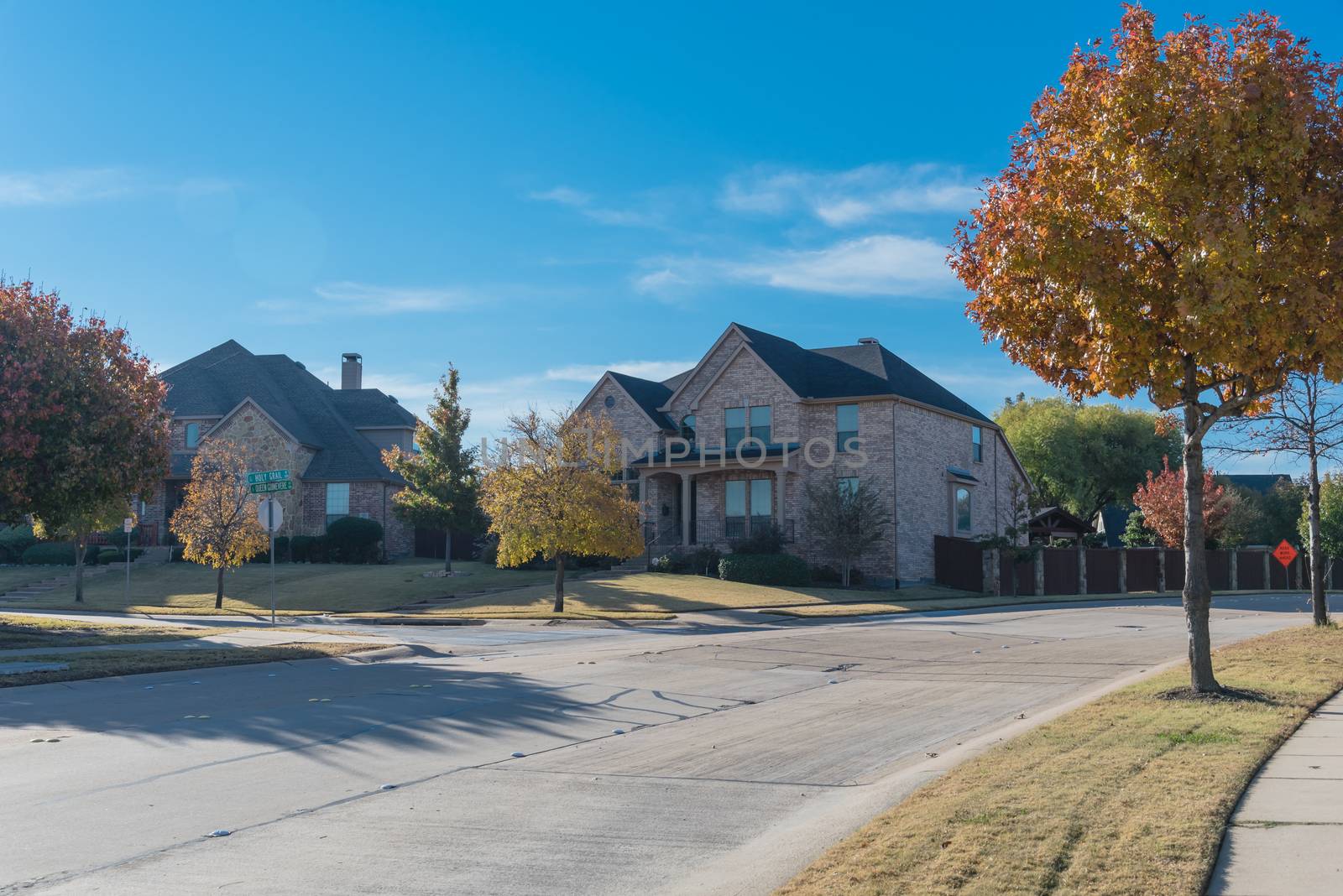 Quite new development subdivision with row of suburban houses and colorful fall foliage along sidewalk near Dallas, Texas, USA by trongnguyen
