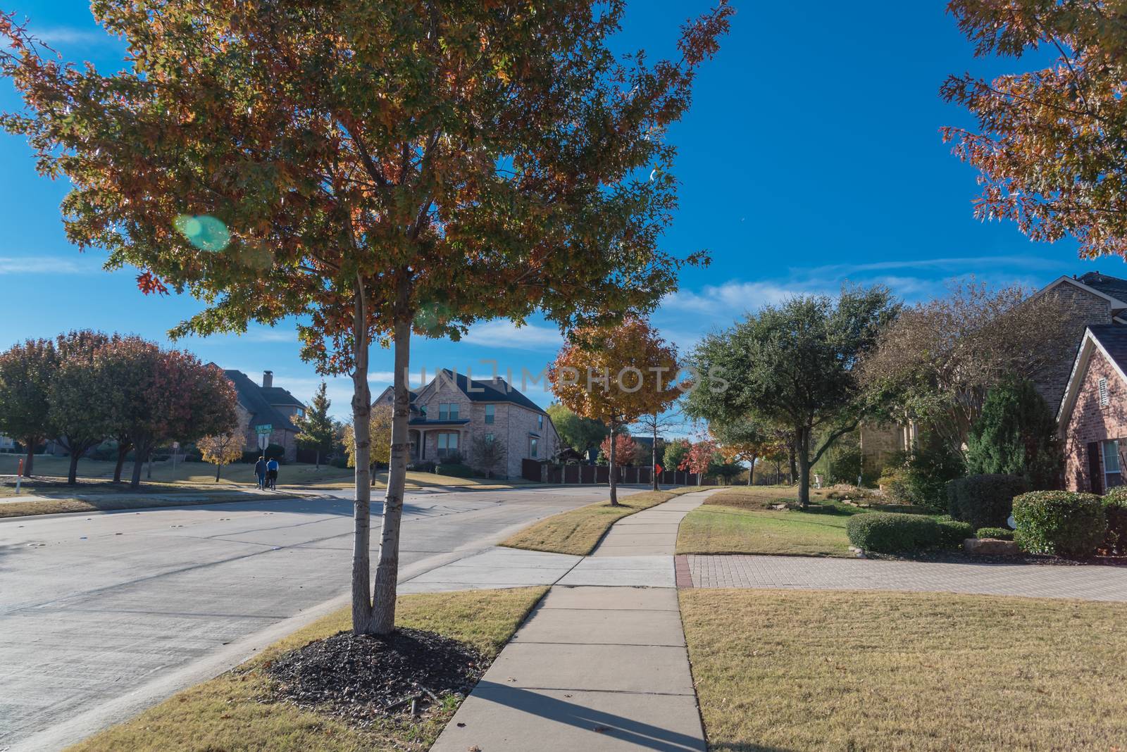 Clean neighborhood street with colorful fall foliage and unidentified people taking a morning stroll suburbs Dallas, Texas, USA by trongnguyen