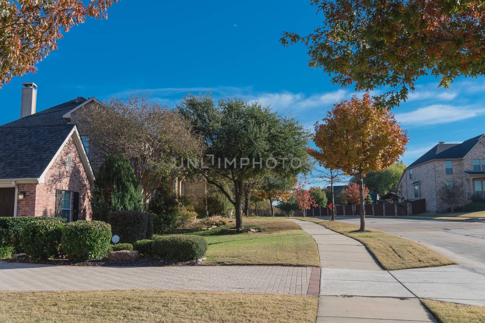 Colorful sidewalk pathway in residential area suburban Dallas, Texas, USA in fall season by trongnguyen