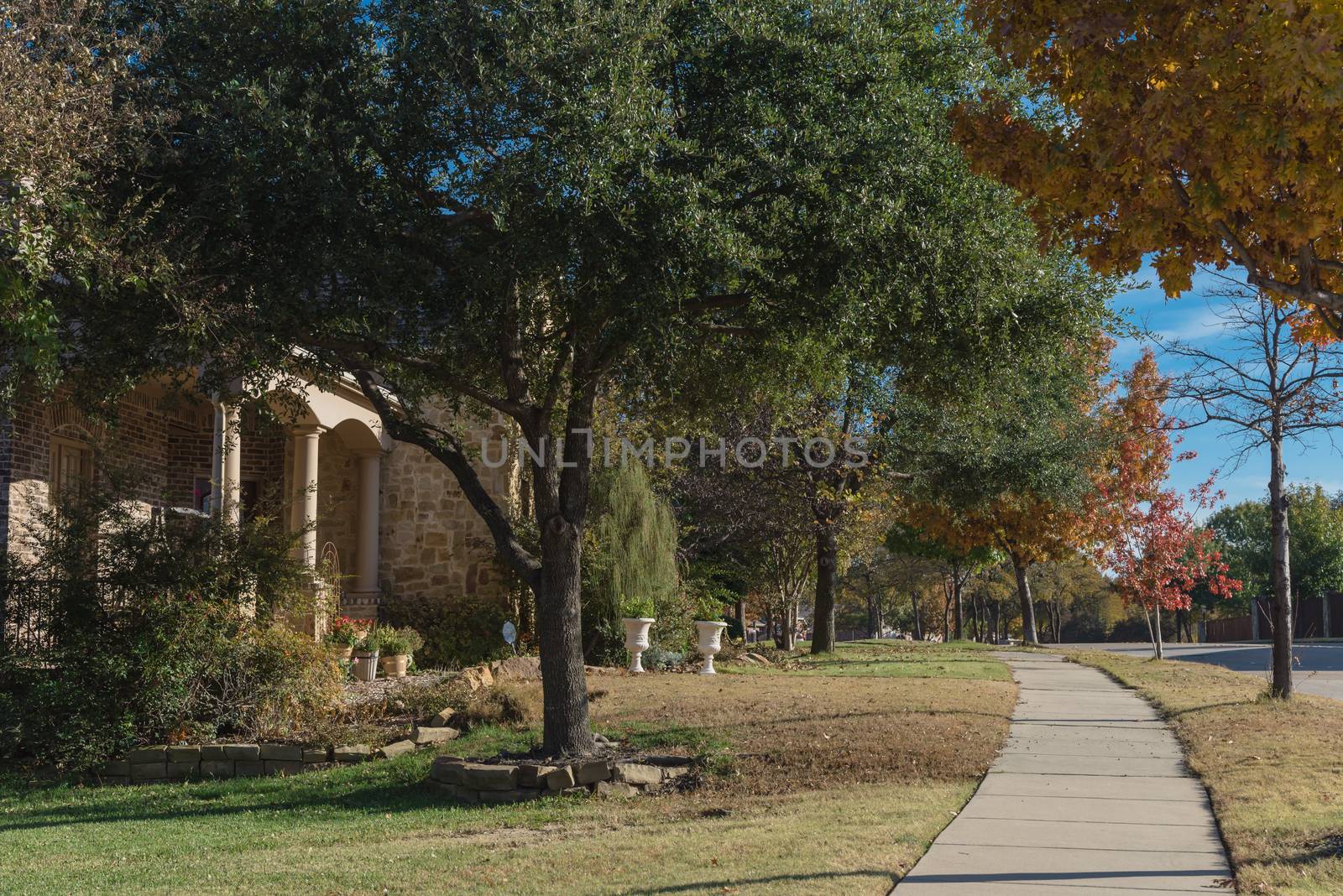Colorful sidewalk pathway in residential area suburban Dallas, Texas, USA in fall season by trongnguyen