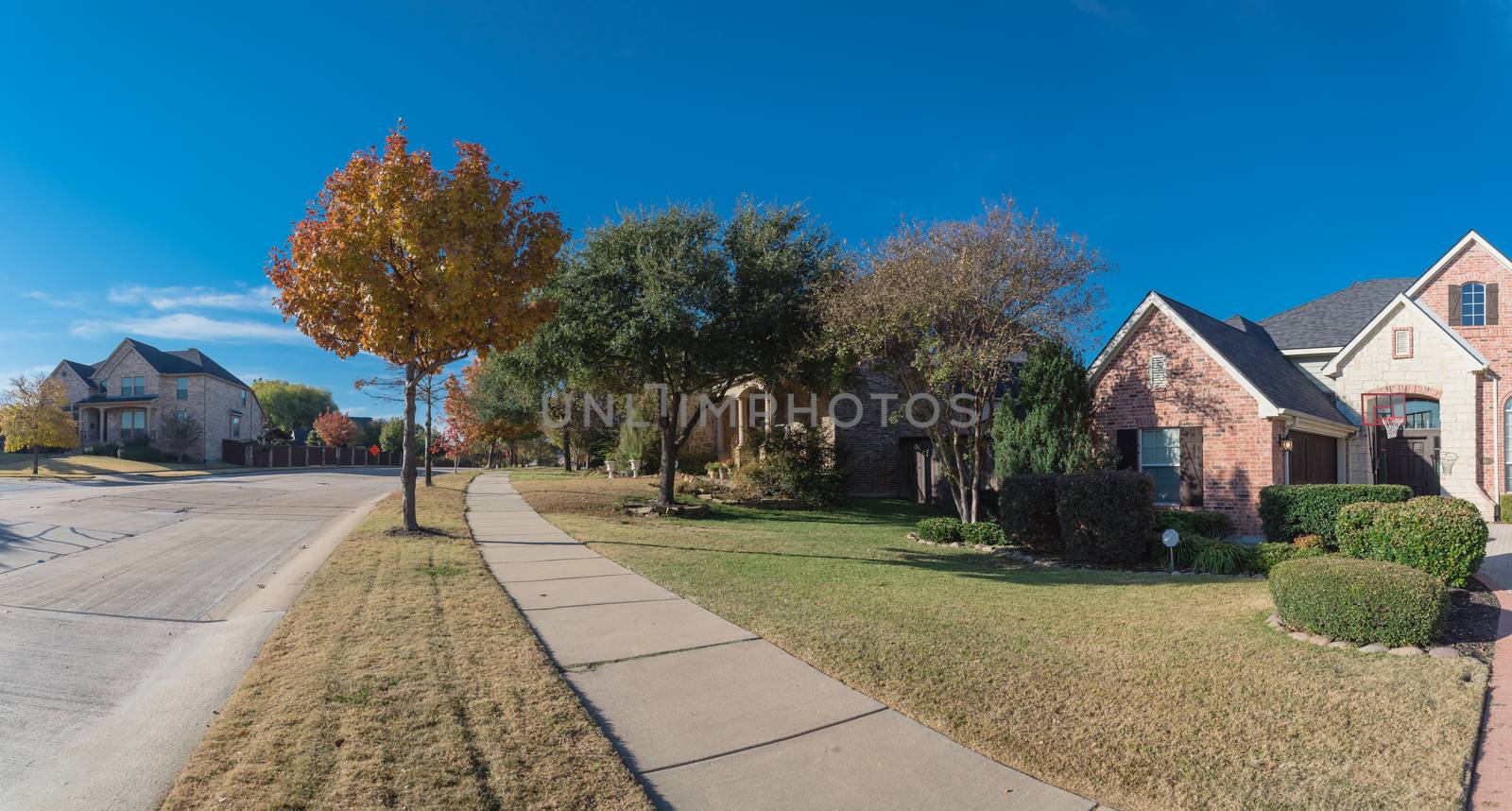 Panorama view typical sidewalk pathway in residential neighborhood suburban Dallas, Texas, America in autumn with colorful fall foliage. Quiet street in new development subdivision.