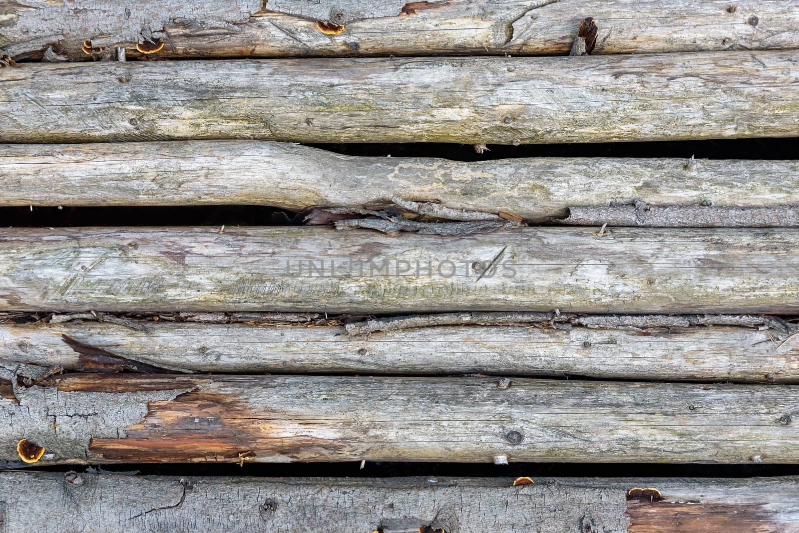 Wooden texture made of logs by mkos83