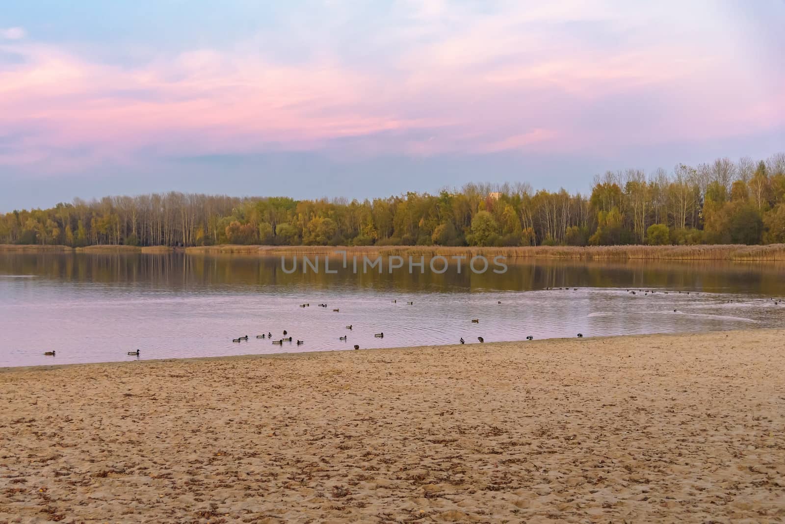 Evening autumn of Pogoria III lake in Dabrowa G�rnicza, Poland