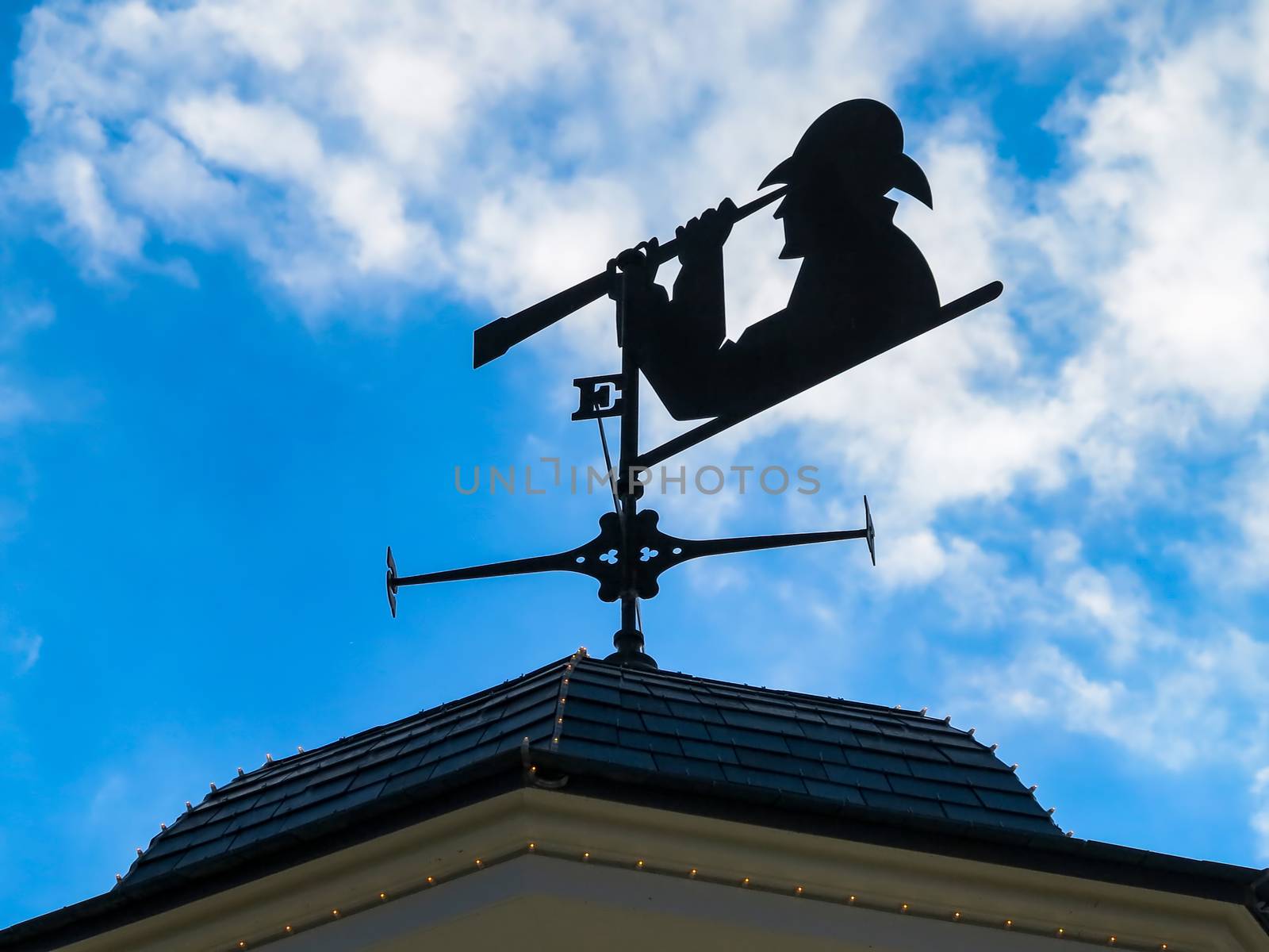 Weather Vane by quackersnaps