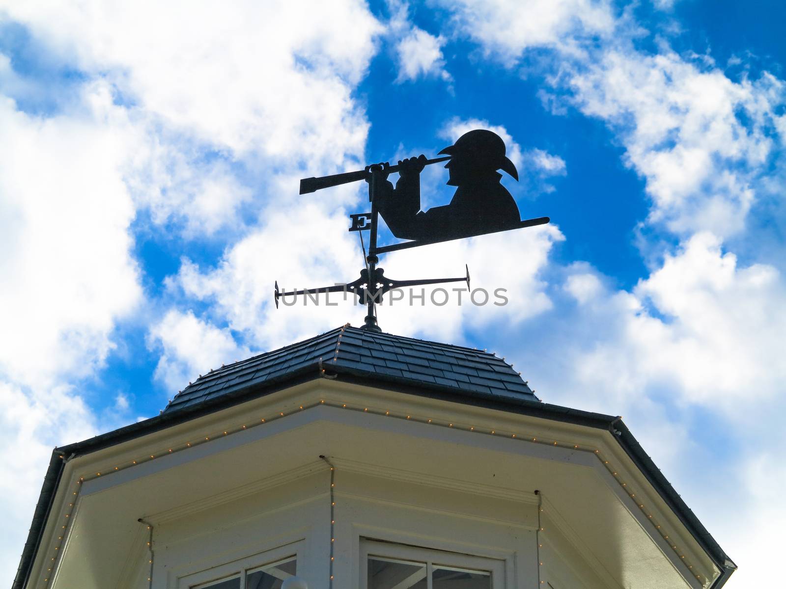 A Weather Vane with person looking through a telescope