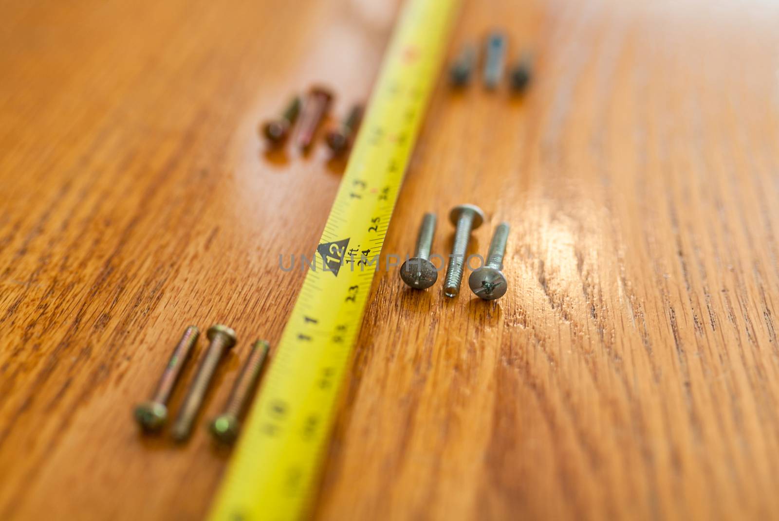 Screws and a tape measure by quackersnaps