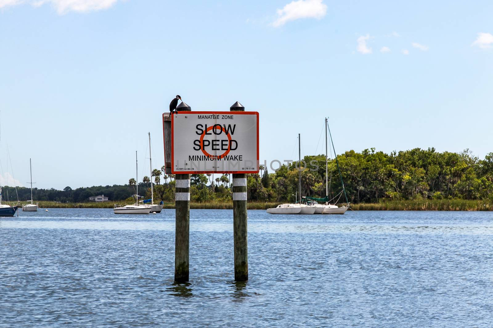 A slow speed warning sign in a manatee zone in Florida