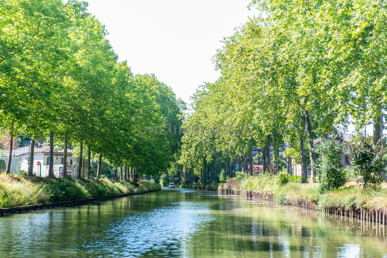 Summer look on Canal du Midi canal in Toulouse, southern Franc by rayints