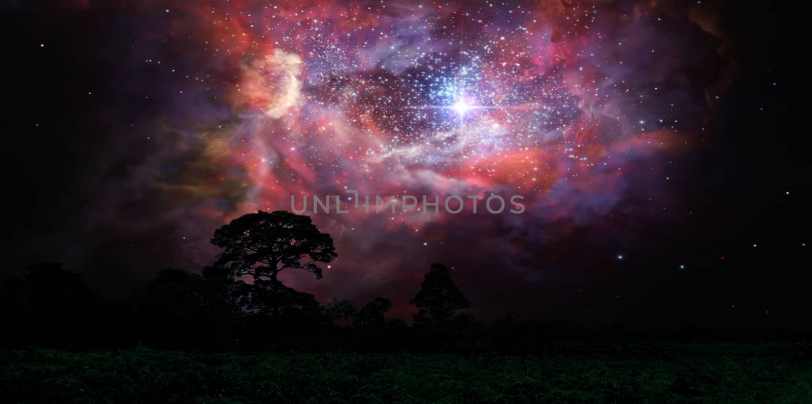 blur ancient stardust nebula back on night cloud sunset sky over silhouette forest, Elements of this image furnished by NASA