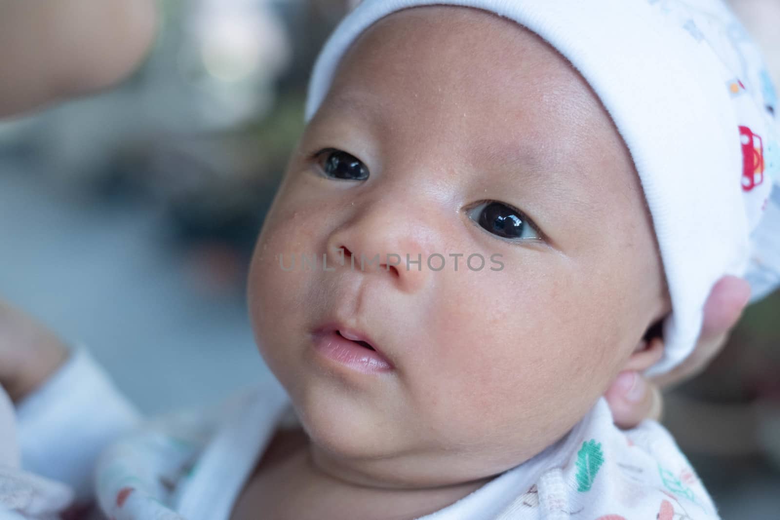 Portrait of a newborn baby infant  hold close by mother in the garden, close up. Family,