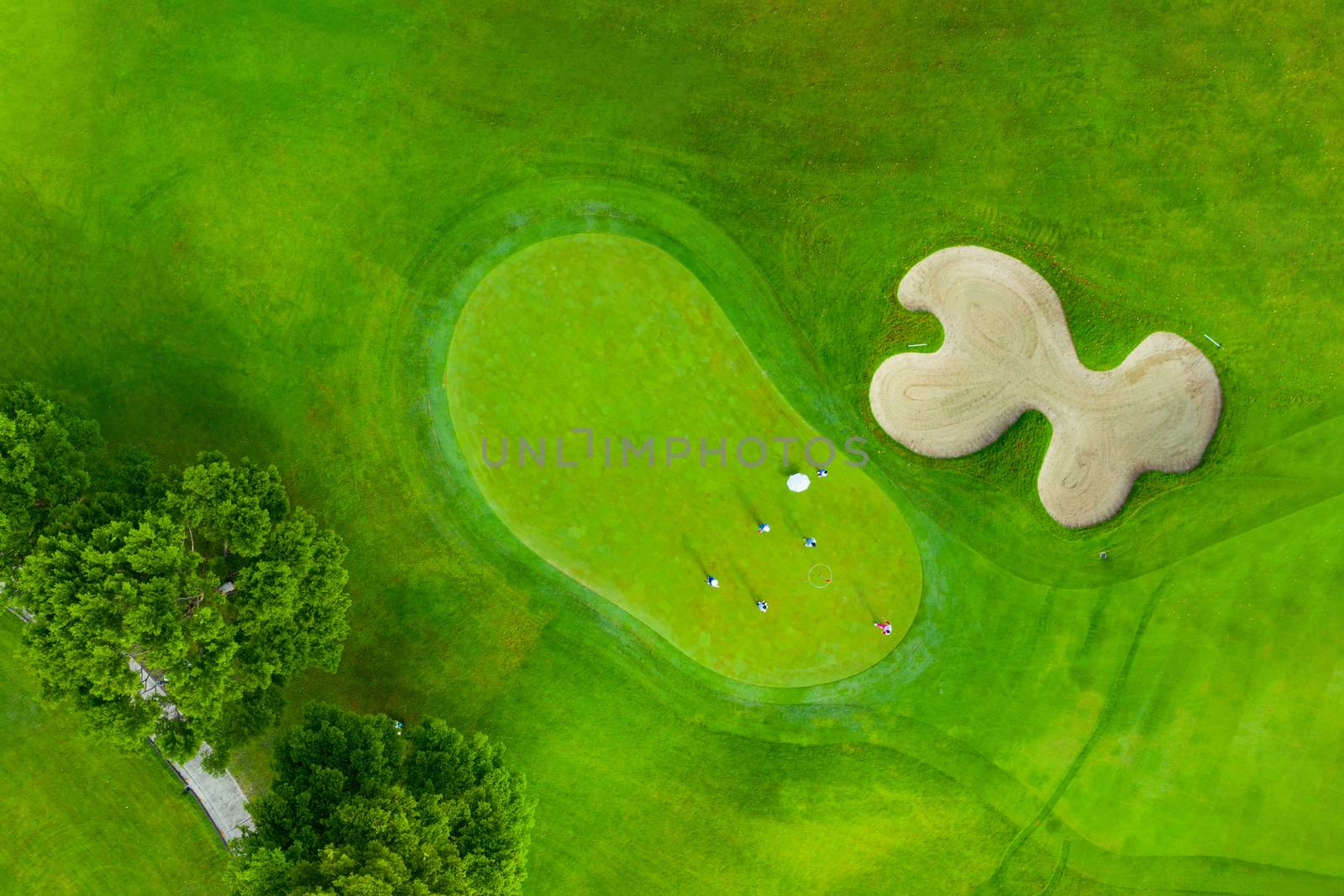 Aerial view of golf field landscape with sunrise view in the mor by PlottyPhoto