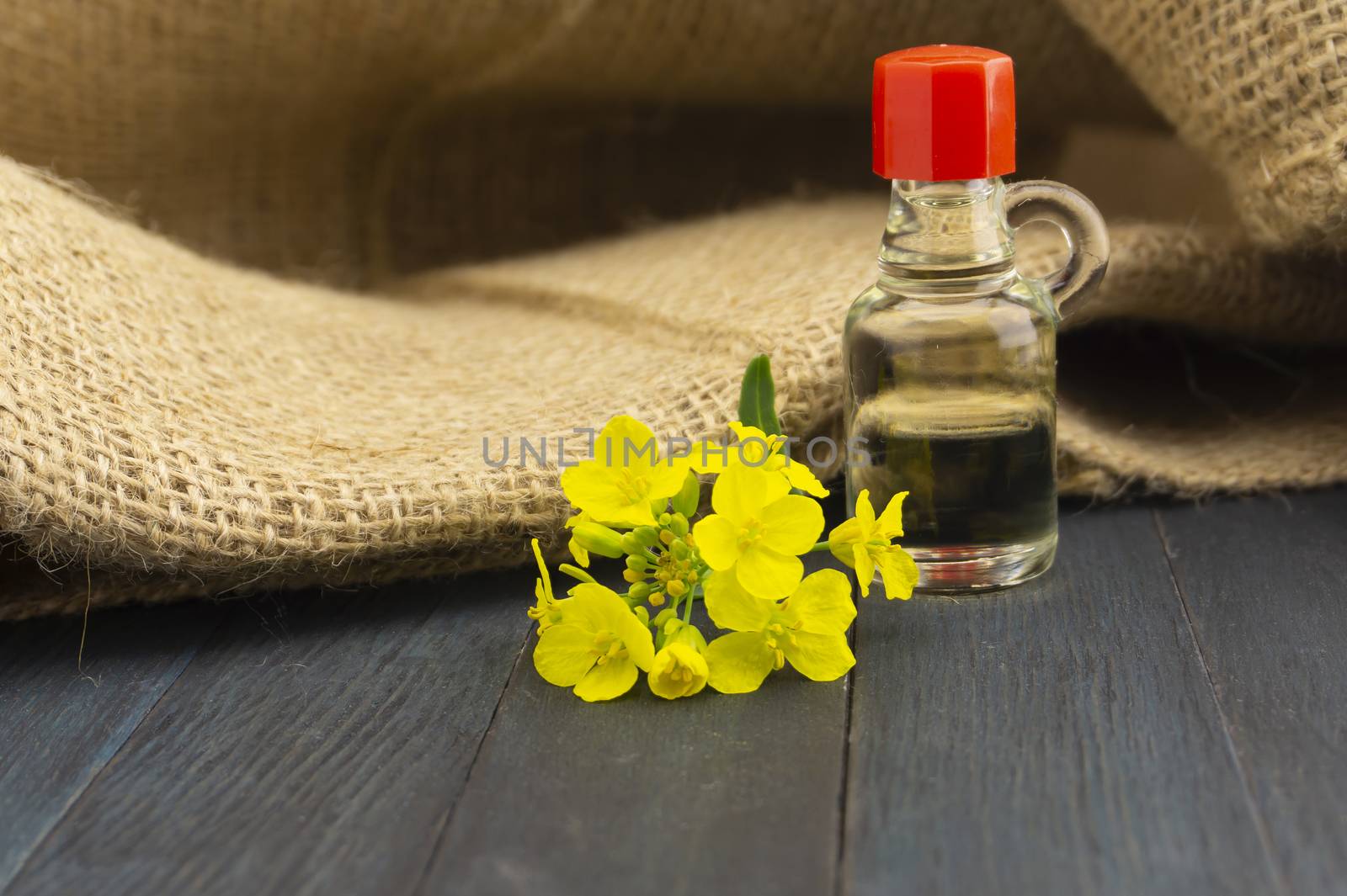 Yellow canola or rapeseed flowers with a small glass decanter of oil on a rustic table with hessian sack