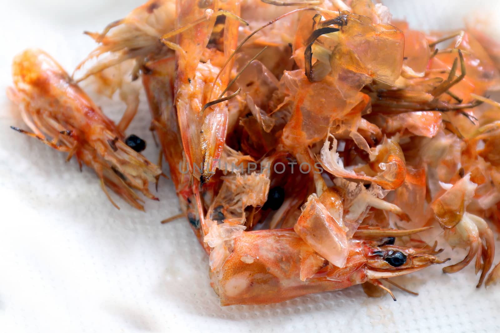 pile of cooked and peeled shrimp, waste food shrimp peeled, detail of the heads and eyes of this seafood, wastes from cleaning cooked shrimps (Selective Focus)