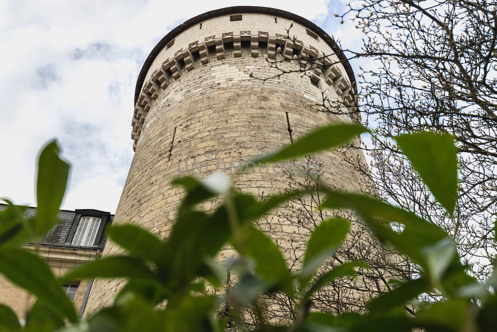 architectural detail of the Château de Tours, France by AtlanticEUROSTOXX