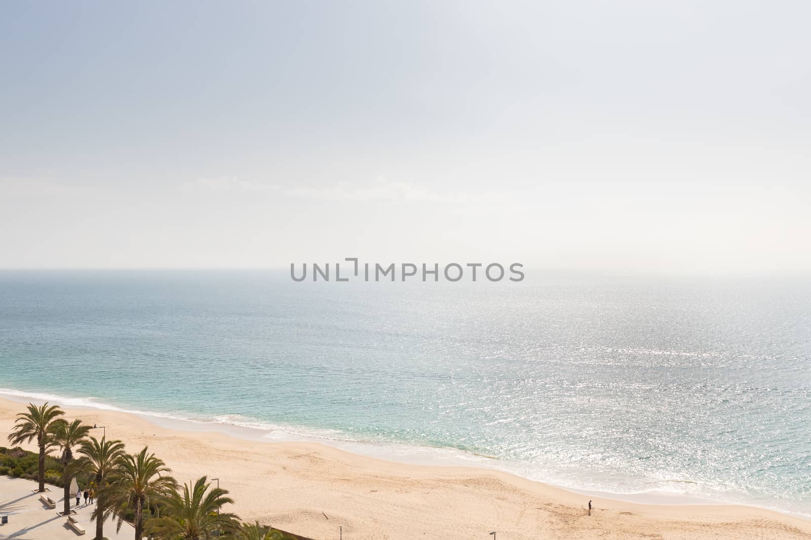 aerial view of Sesimbra beach, Portugal with palm trees and fine sand