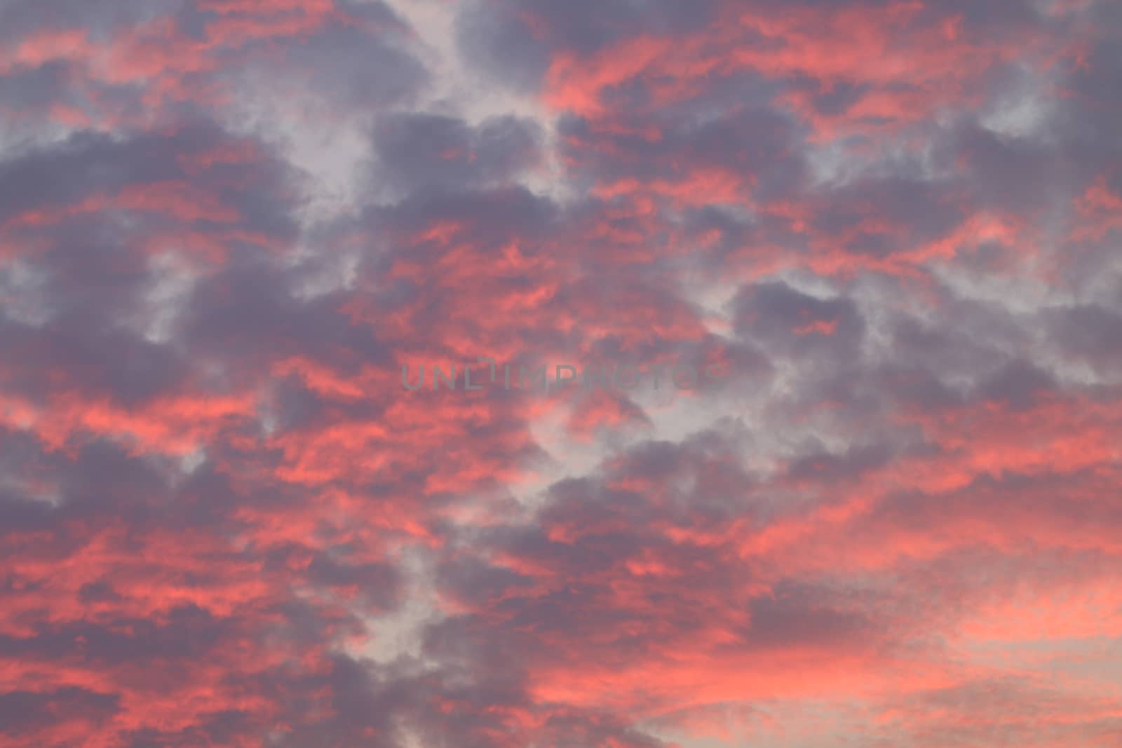 dramatic red sky cloud, red sky at sunset, red sky sunlight background, pollution sky clouds natural disasters global warming by cgdeaw