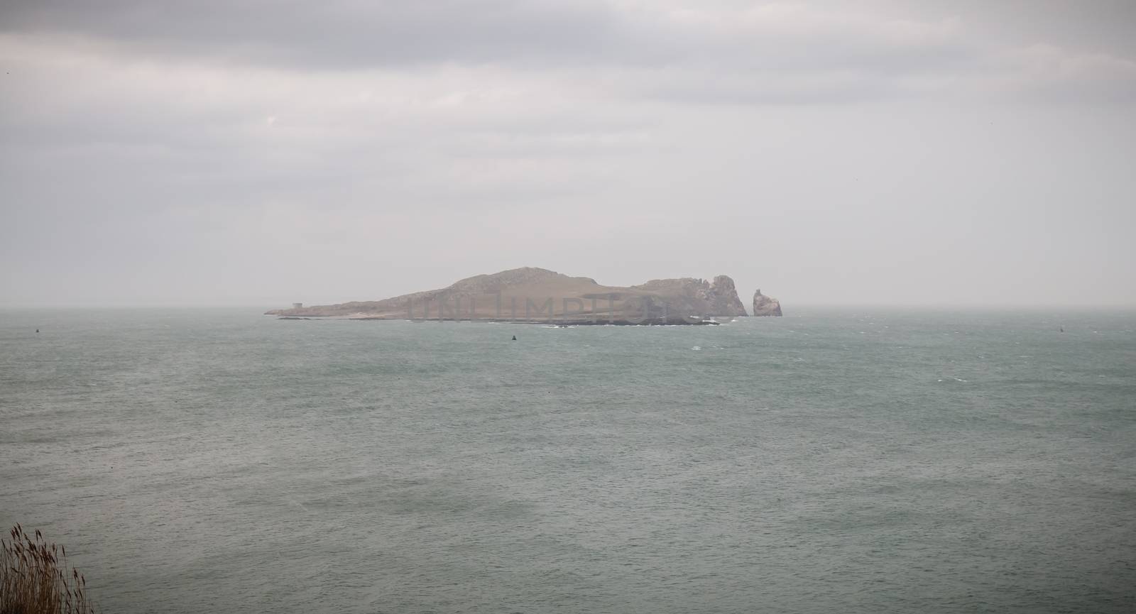 view of Ireland Eye s wild island in Howth Bay by AtlanticEUROSTOXX