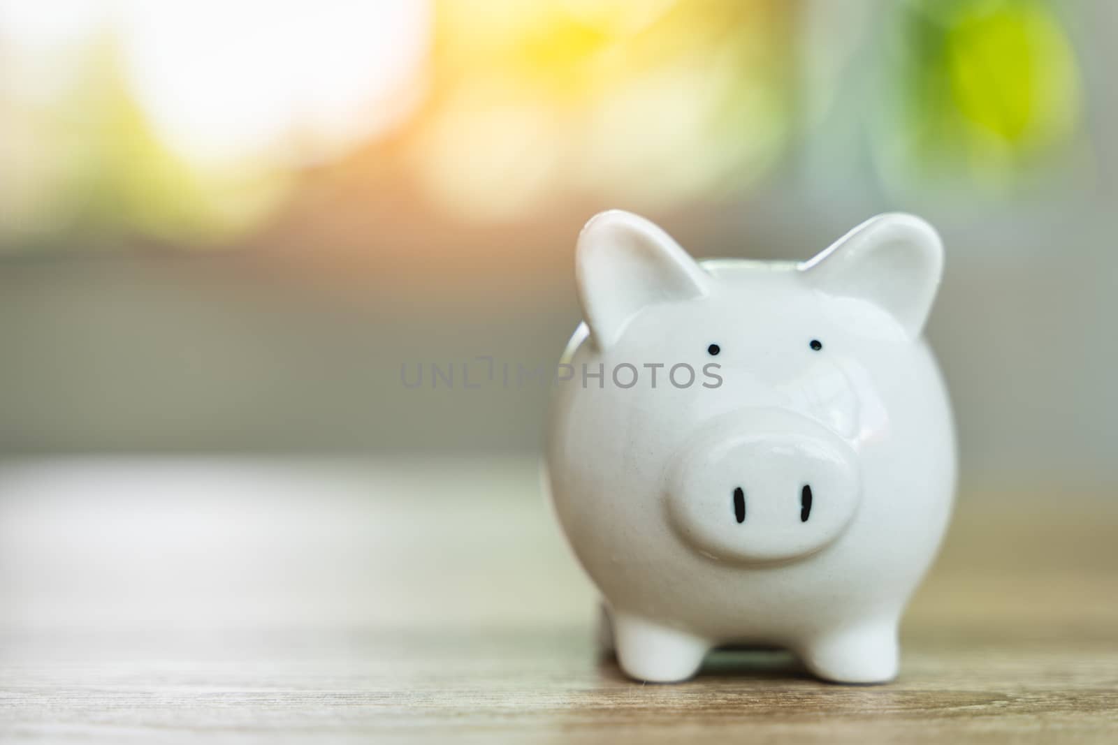 Money savings concepts Piggy bank symbol of saving money on wooden table with sunlight bokeh blur background and copy space