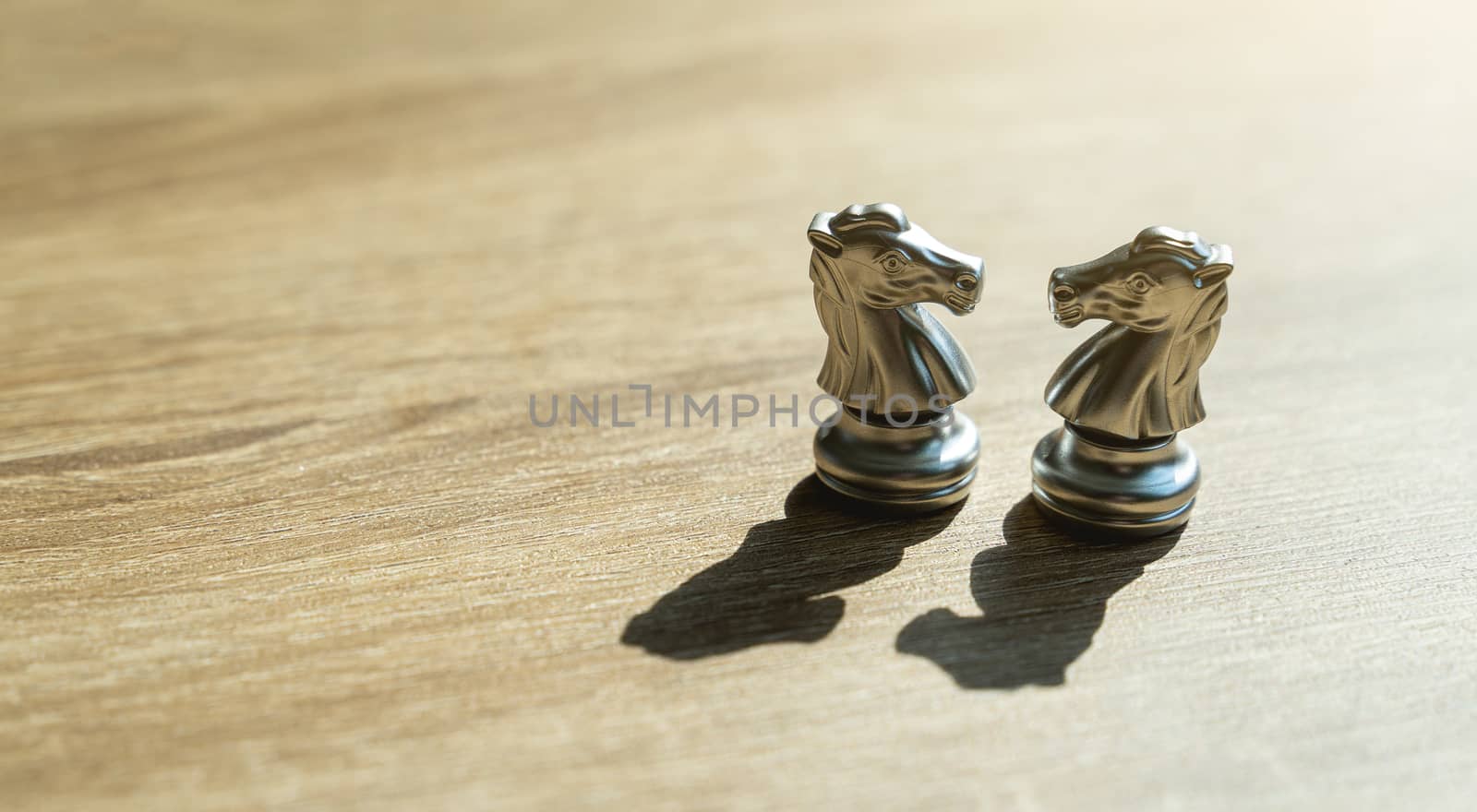 Two golden horse chess together with shadow in concept, business, negotiation, success and competition On board chess with a selective space copy on wodden table