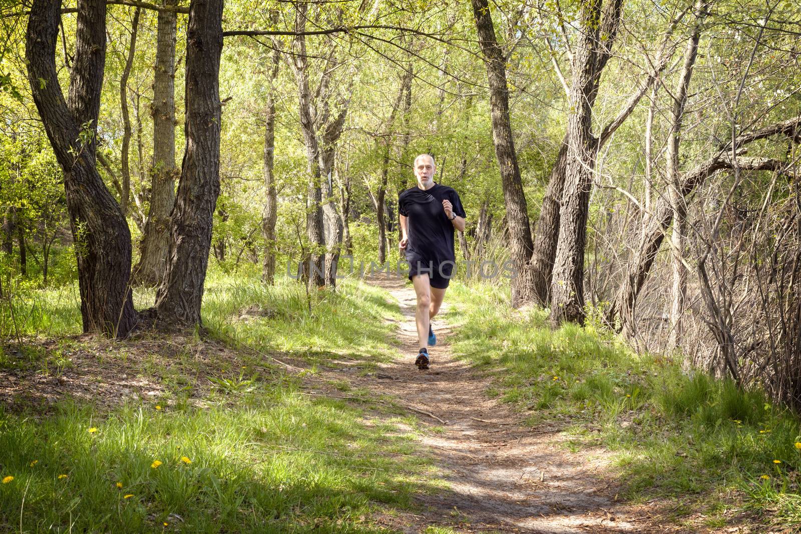 A senior man dressed in black is running in the forest during a warm spring day