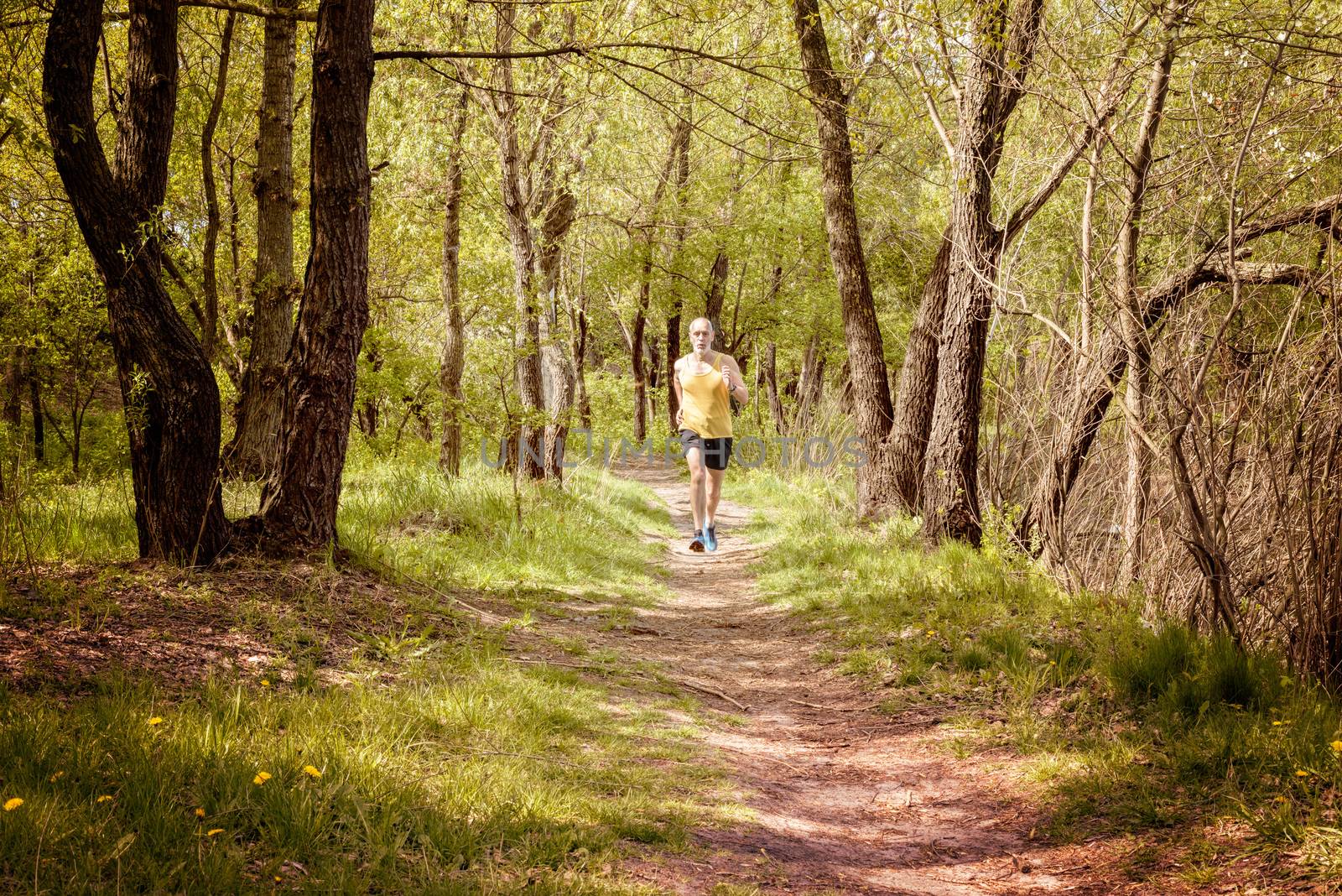 A senior man worn in black and yellow is running in the forest, during a warm spring day evening