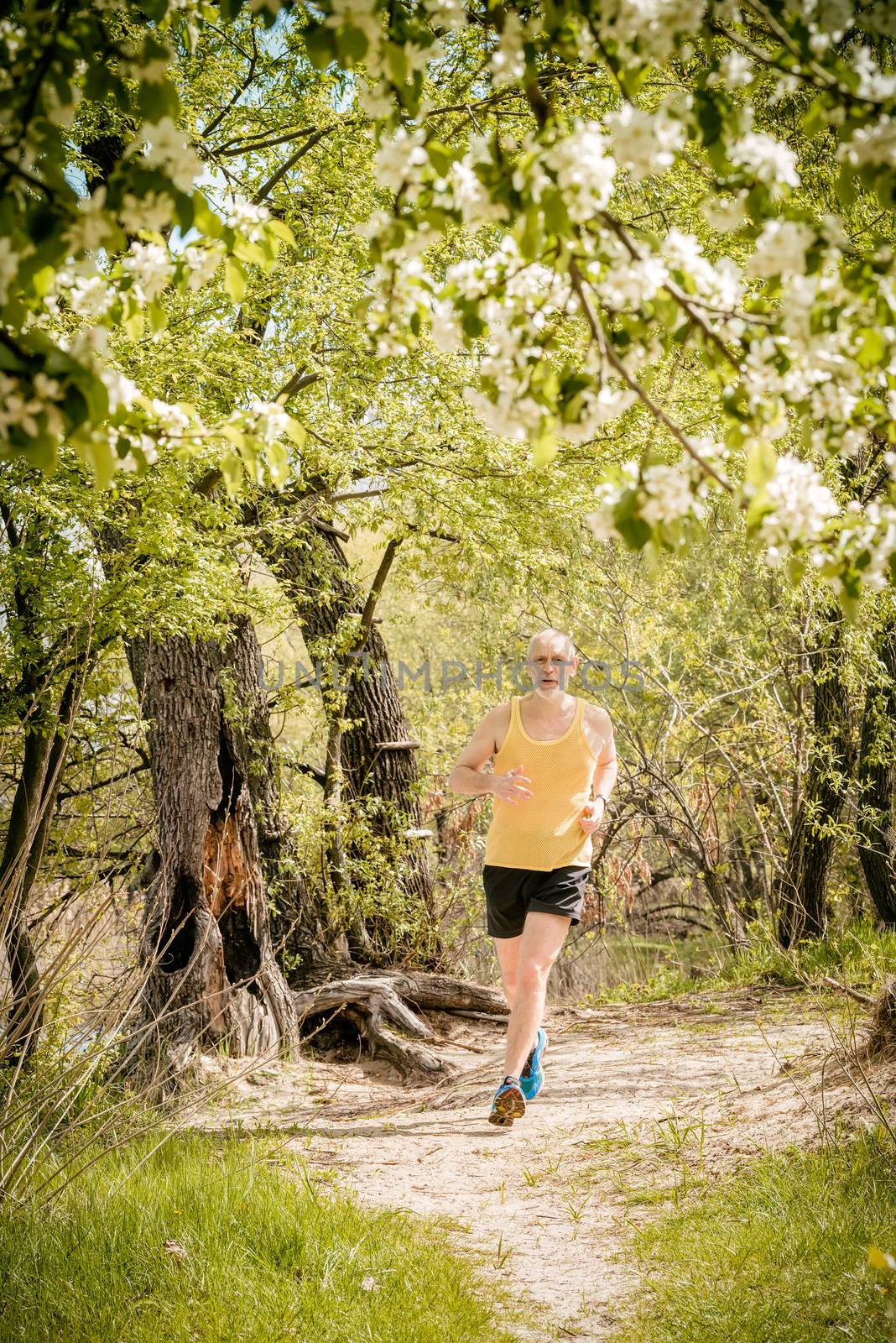 A senior man dressed in black and yellow is running in the forest, close to the lake, under an apple blossom, during a warm spring day