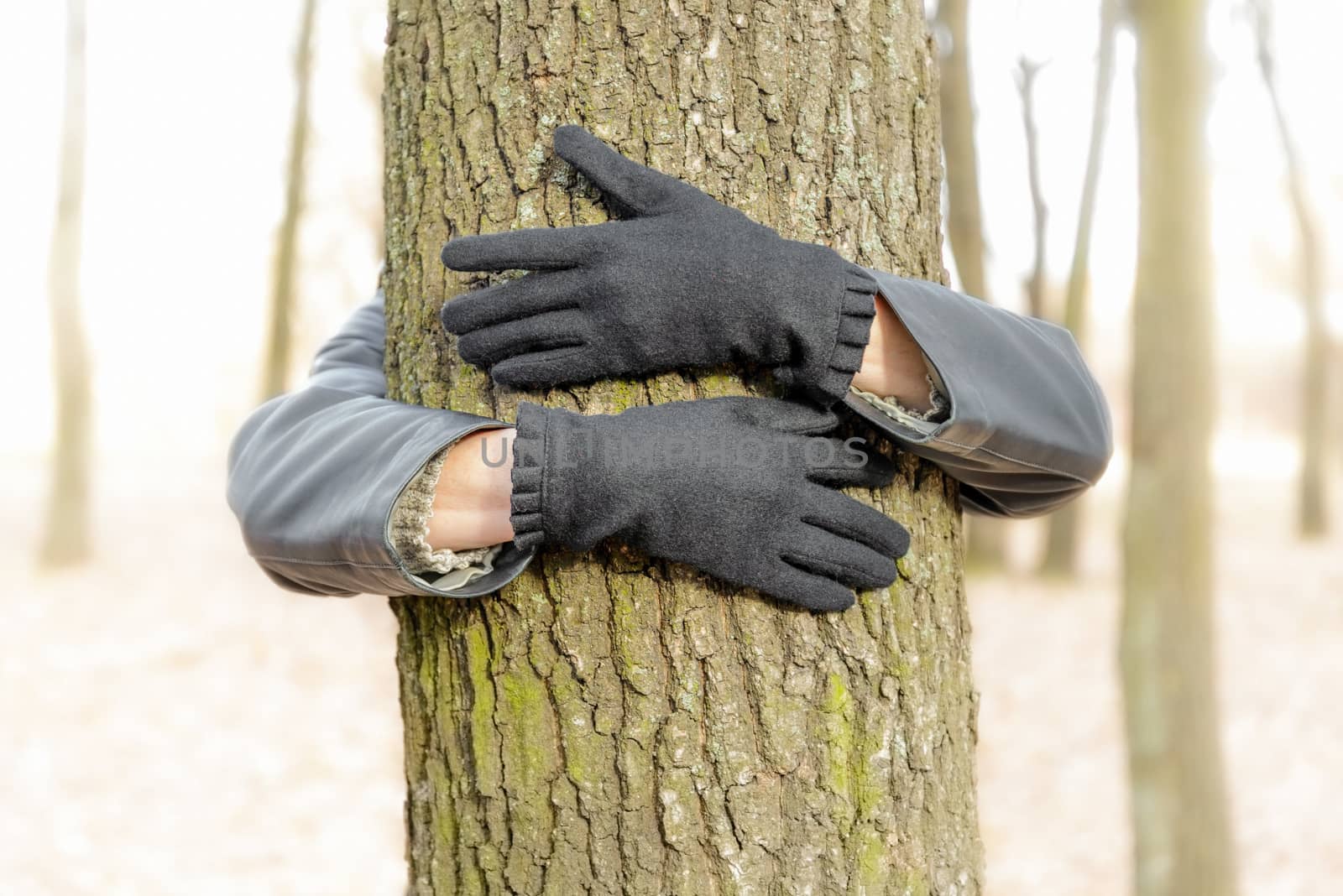 An environmentalist is embracing a tree to demonstrate is love for nature and environment.