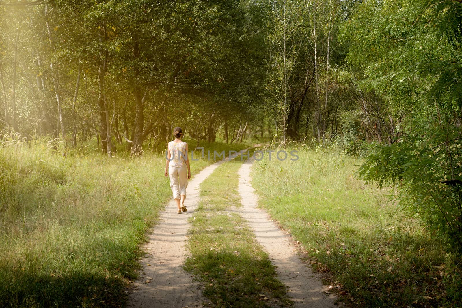 An adult woman is walking in the forest near the city of Kiev in Ukraine. Sun rays pass through the tree branches creating a magic mood