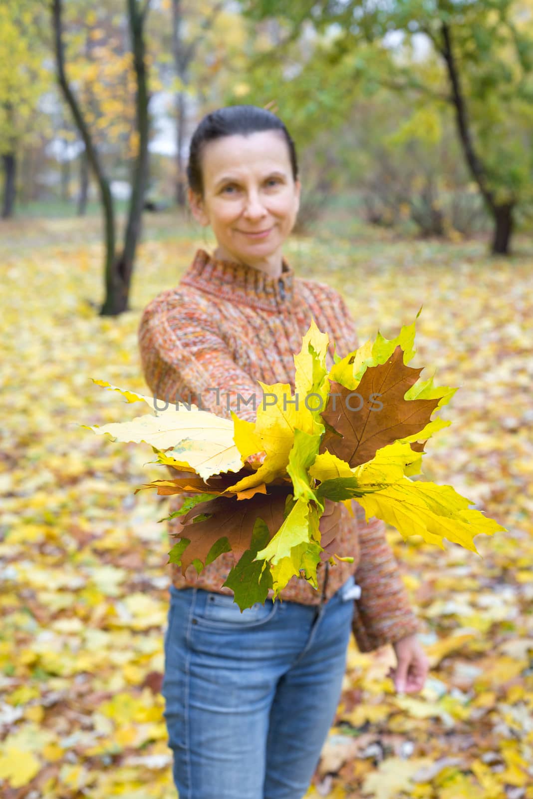 A smiling adult caucasian woman is holding and showing yellow maple leaves in autumn in the park