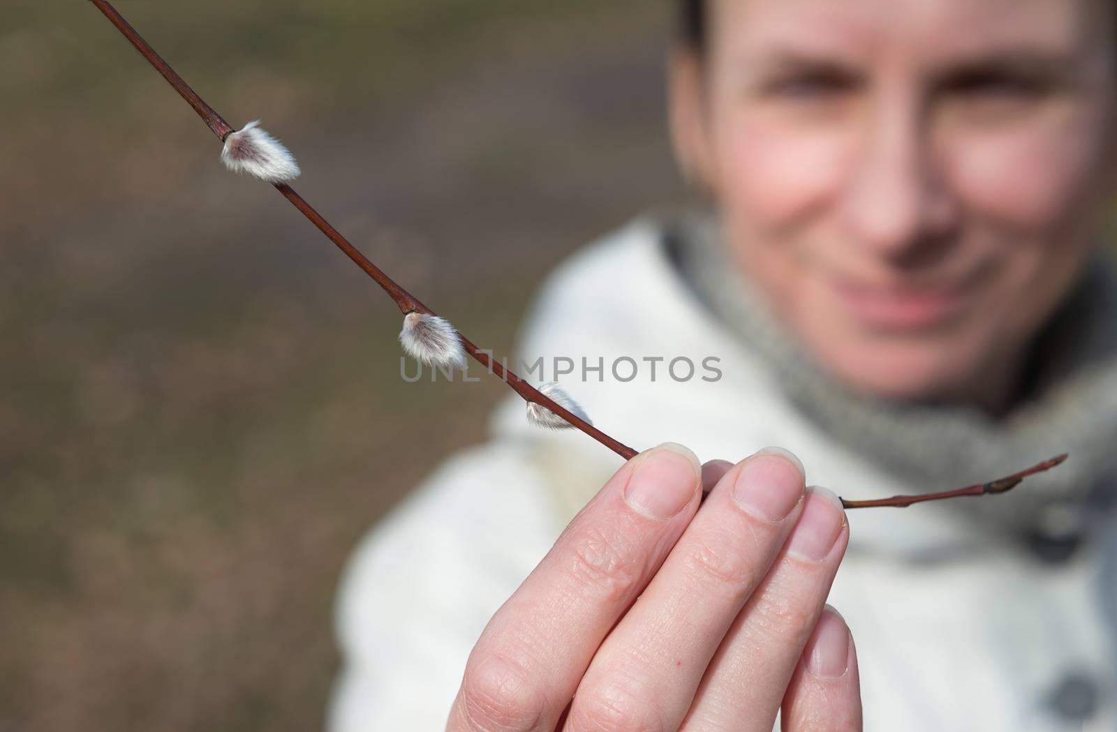 A woman is holding a willow branch in her hand and looking a catkin at the beginning of spring