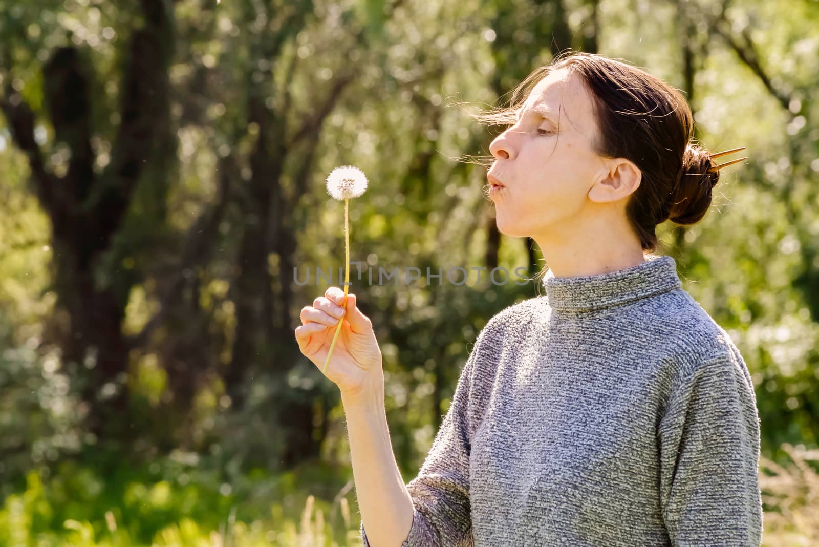 Adult woman blowing the seeds of a dandelion flower at the end of spring near to the forest